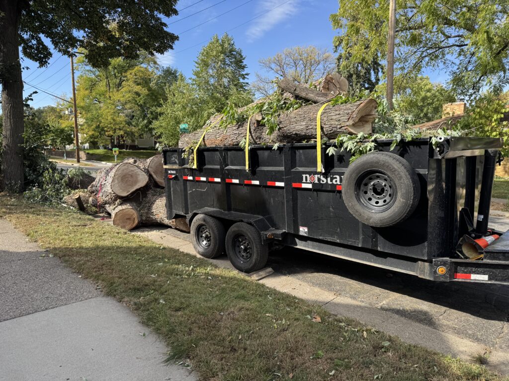 Hauling tree logs and trunks away